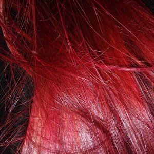 Meet your Posher, GoAskAlice